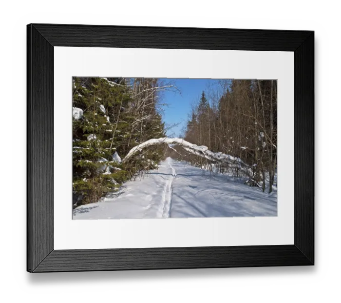 Framed Print : Clearing with ski track in winter forest Framed Print : Clearing with ski track in winter forest