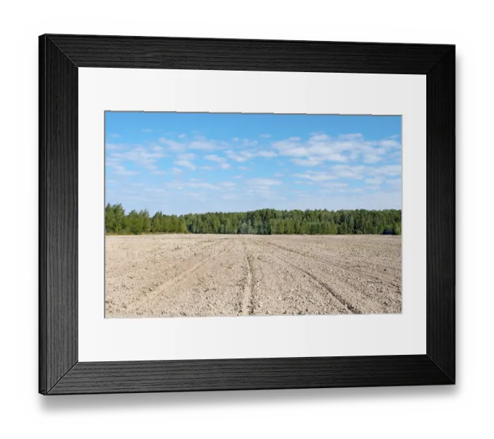 Framed Print : Arable land at forest background, sunny summer day
