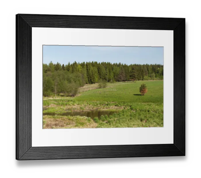 Framed Print : Country landscape, large green meadow on a hillside in front of coniferous forest Framed Print : Country landscape, large green meadow on a hillside in front of coniferous forest