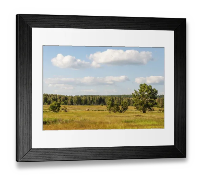 Framed Print : Rural landscape, meadow with sparse trees Framed Print : Rural landscape, meadow with sparse trees