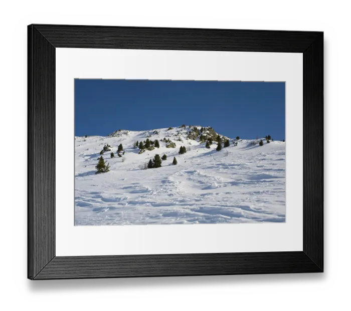Framed Print : Spruces on a snowy slope of the mountain