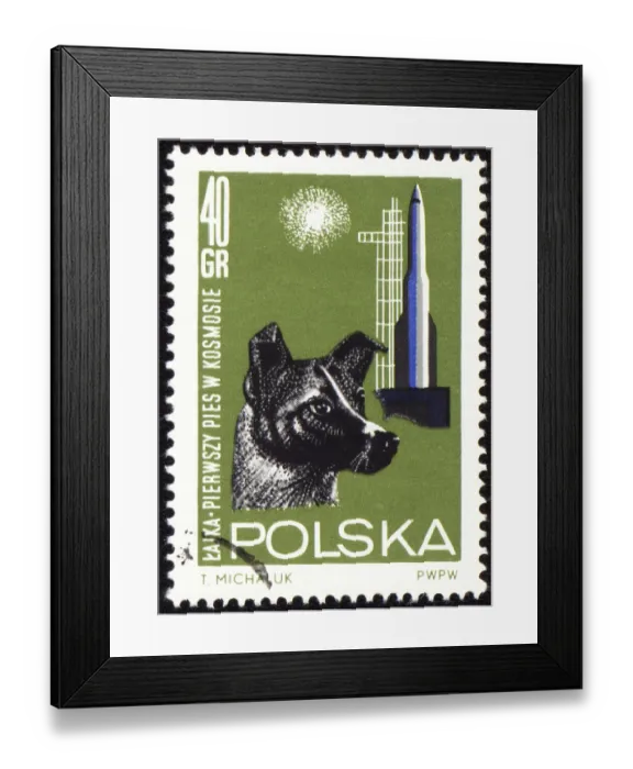 Framed Print : POLAND - CIRCA 1963: A stamp printed in Poland shows first dog Laika in space Framed Print : POLAND - CIRCA 1963: A stamp printed in Poland shows first dog Laika in space