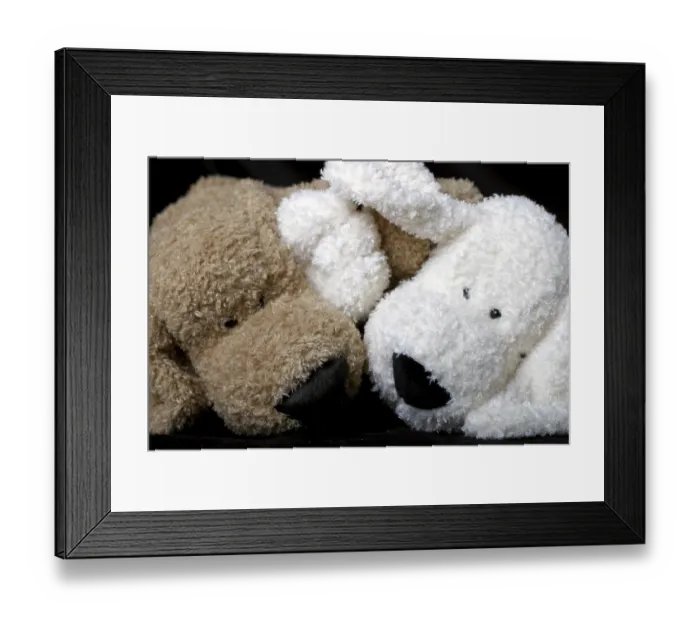 Framed Print : Two stuff dog figthing to get attention