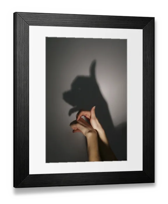 Framed Print : Silhouette shadow of young dog from young womans hands
