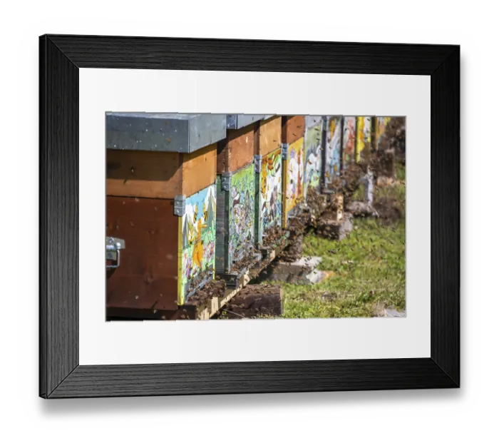 Framed Print : Beehive in a meadow, Italy Framed Print : Beehive in a meadow, Italy