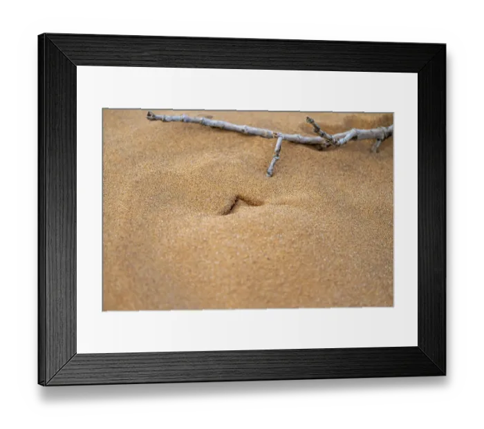 Framed Print : Cave of a Palmato gecko (Pachydactylus rangei)
