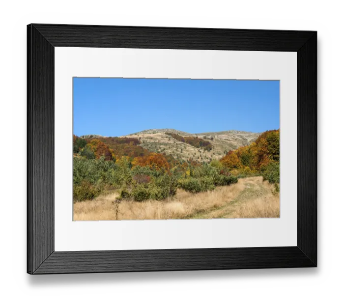 Framed Print : Autumn scene in mountain in sunny day Framed Print : Autumn scene in mountain in sunny day