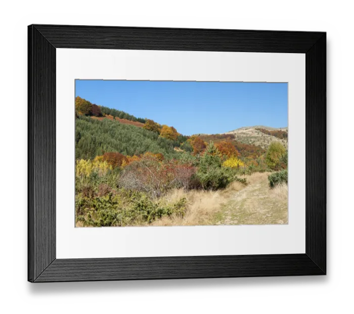 Framed Print : Autumn scene in mountain in sunny day Framed Print : Autumn scene in mountain in sunny day