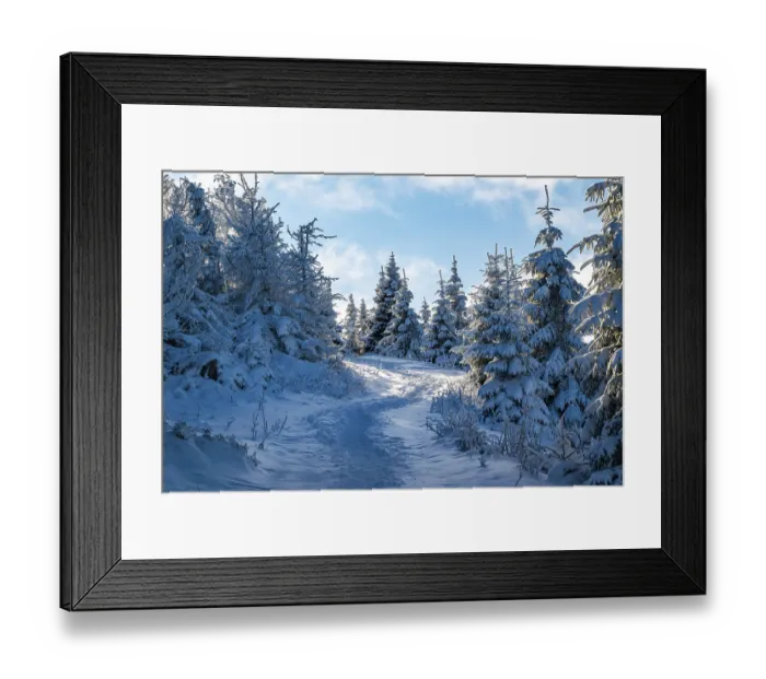 Framed Print : Idyllic, winding trail through a snowy coniferous forest under a blue sky in atmospheric light