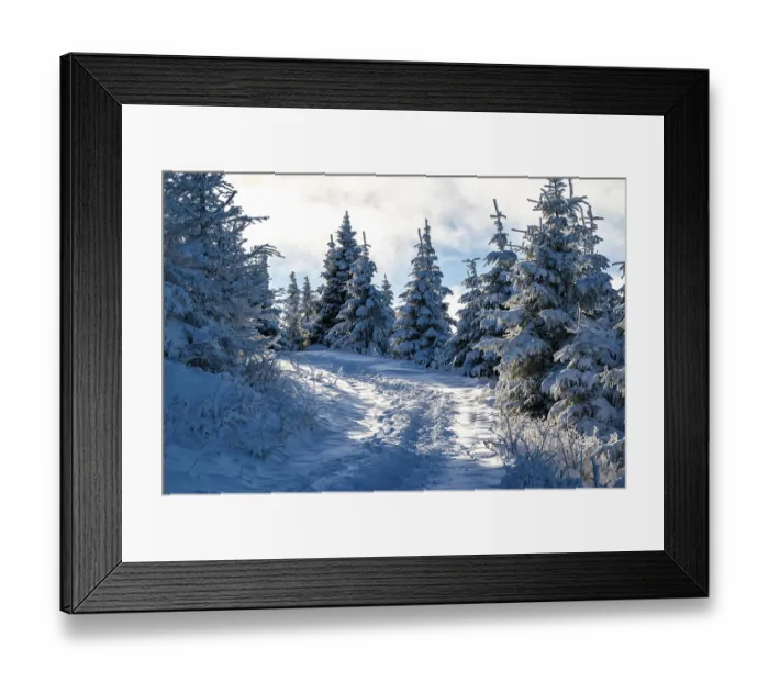 Framed Print : Scenic trail through a snowy coniferous forest in atmospheric light Framed Print : Scenic trail through a snowy coniferous forest in atmospheric light