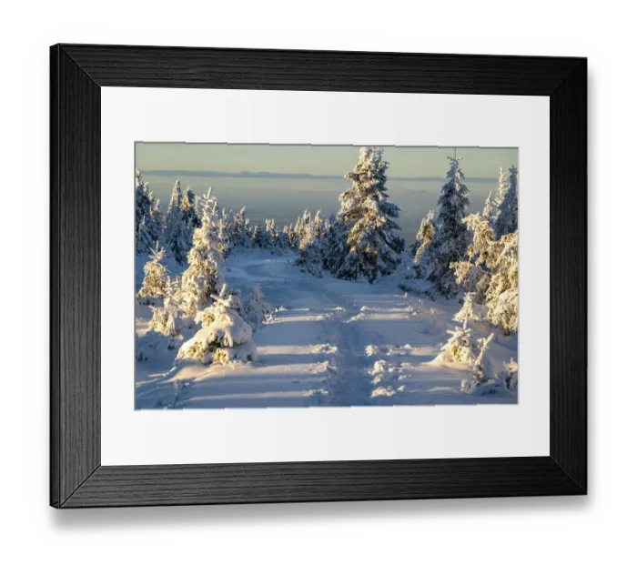 Framed Print : Idyllic, winding path through a wintery snow-covered coniferous forest in the light of dusk