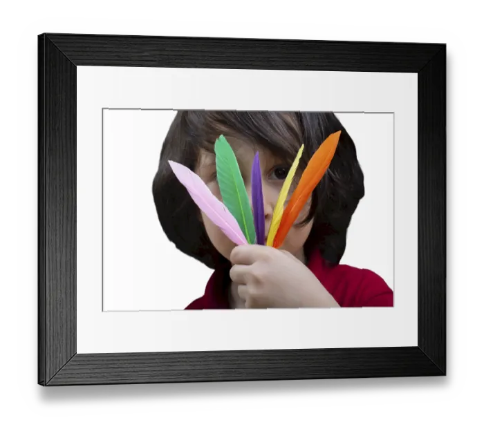 Framed Print : Feathers isolated elements set