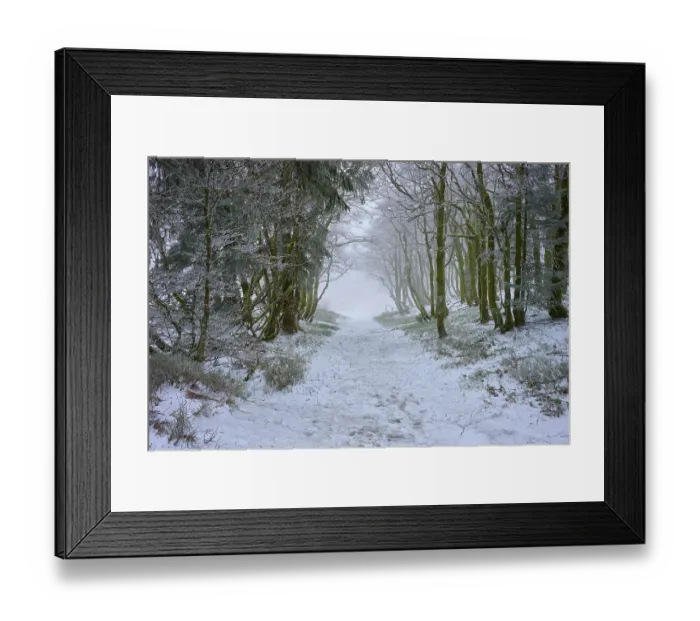 Framed Print : Snowy forest trail surrounded by trees and covered in fog Framed Print : Snowy forest trail surrounded by trees and covered in fog