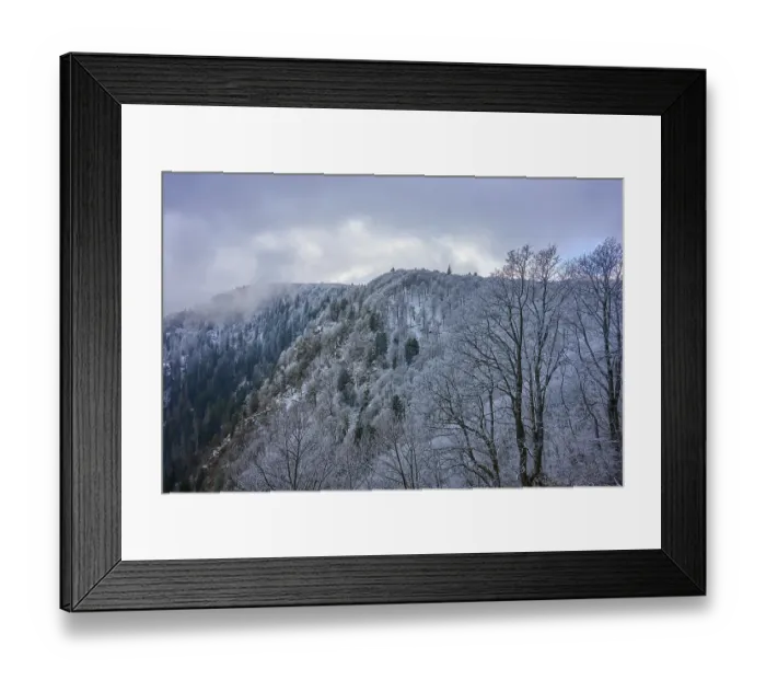 Framed Print : Frosty treetops above a wooded hill with thick clouds Framed Print : Frosty treetops above a wooded hill with thick clouds