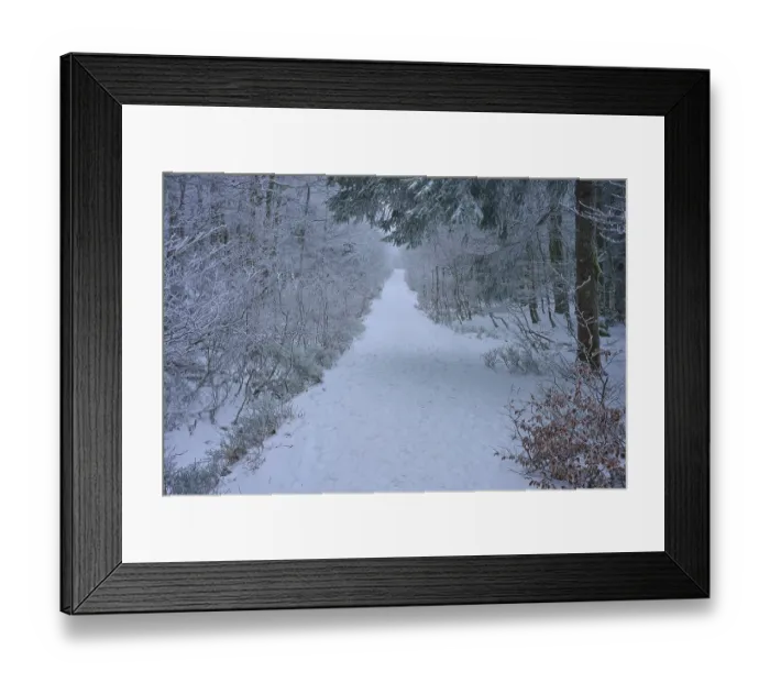 Framed Print : Snow-covered forest path leads quietly and secluded through the winter forest