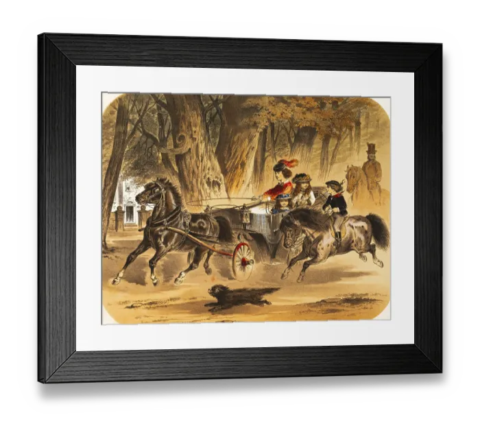 Framed Print : Wild ride with the open horse-drawn carriage