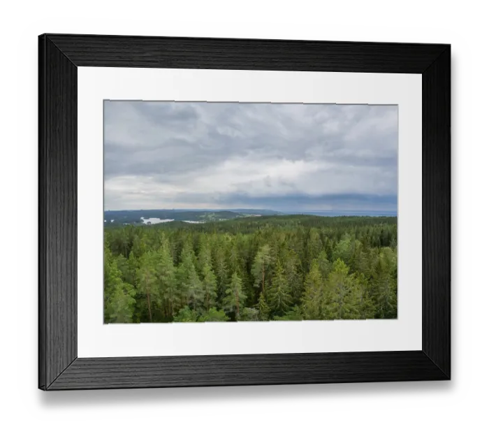 Framed Print : View of a Wooded landscape from Granna mountain in Sweden