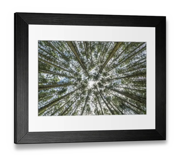 Framed Print : Omberg is a small mountain with interesting nature by Lake Vattern in Sweden
