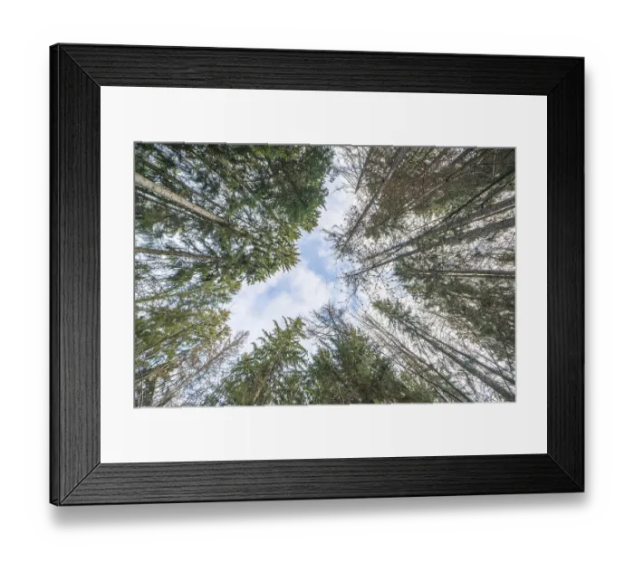 Framed Print : Omberg is a small mountain with interesting nature by Lake Vattern in Sweden