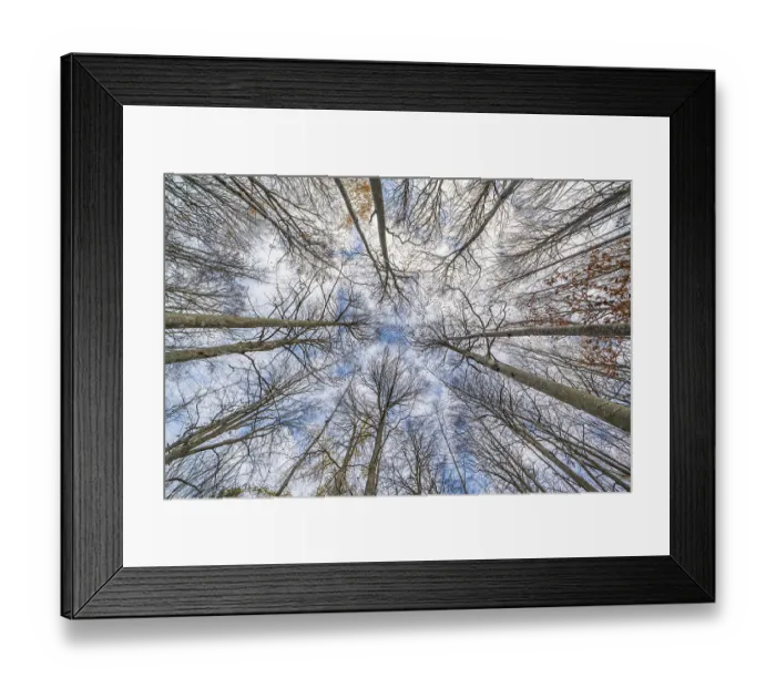 Framed Print : Omberg is a small mountain with interesting nature by Lake Vattern in Sweden Framed Print : Omberg is a small mountain with interesting nature by Lake Vattern in Sweden