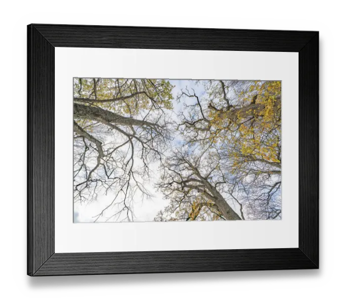 Framed Print : Omberg is a small mountain with interesting nature by Lake Vattern in Sweden Framed Print : Omberg is a small mountain with interesting nature by Lake Vattern in Sweden