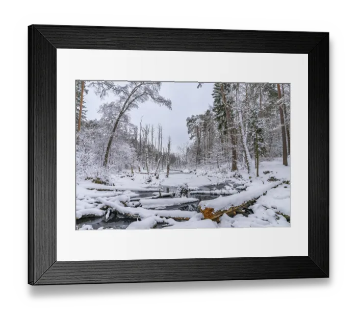 Framed Print : Landscape covered by snow with fallen trees on the Briese river in the forest in winter Framed Print : Landscape covered by snow with fallen trees on the Briese river in the forest in winter