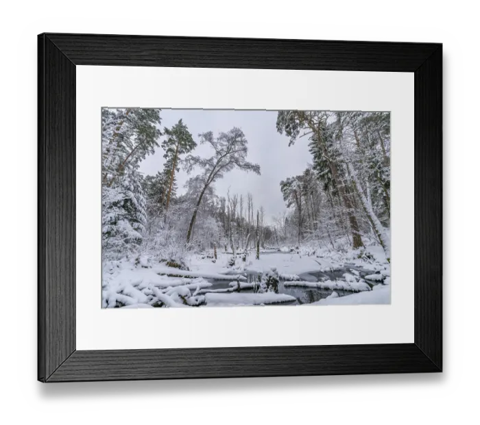 Framed Print : Landscape covered by snow with fallen trees on the Briese river in the forest in winter Framed Print : Landscape covered by snow with fallen trees on the Briese river in the forest in winter