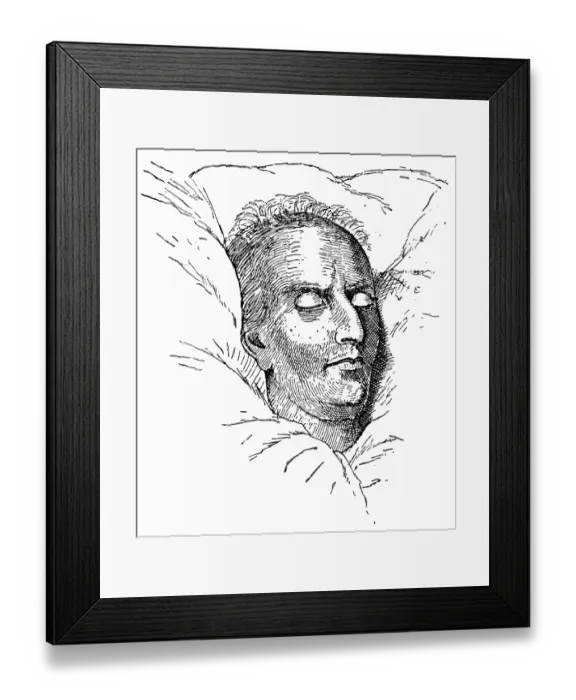 Framed Print : A death mask of Friedrich Schiller - a German poet
