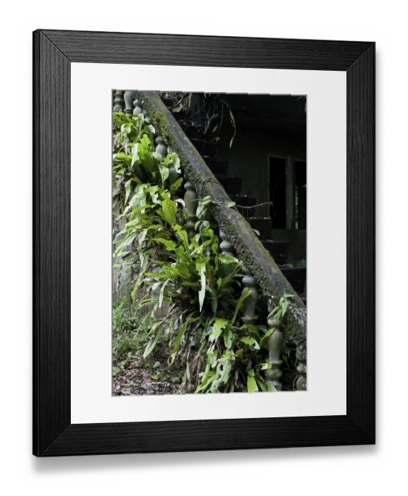 Framed Print : Ruins of ancient building hidden in jungles Framed Print : Ruins of ancient building hidden in jungles