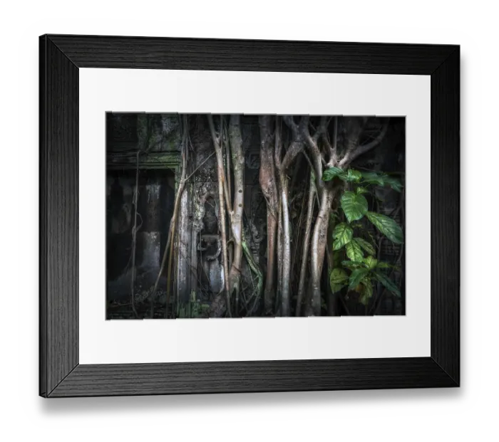 Framed Print : Ancient Khmer architecture. Giant banyan tree roots at Ta Prohm temple