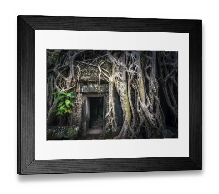 Framed Print : Ancient Khmer architecture. Ta Prohm temple with giant banyan tree at Angkor Wat complex