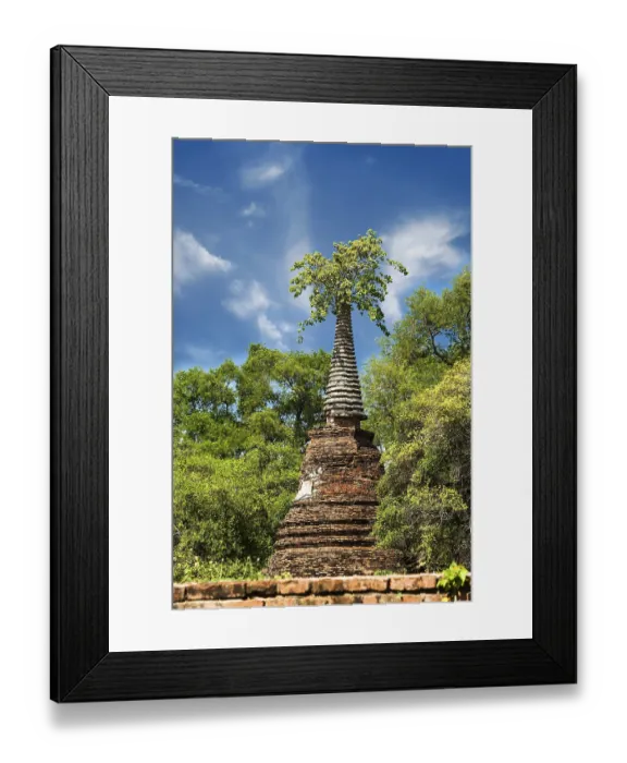 Framed Print : Asian religious architecture. Ancient ruins with growing trees under blue sky