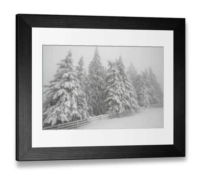 Framed Print : Beautiful landscape with mist and snowfall in winter forest Framed Print : Beautiful landscape with mist and snowfall in winter forest