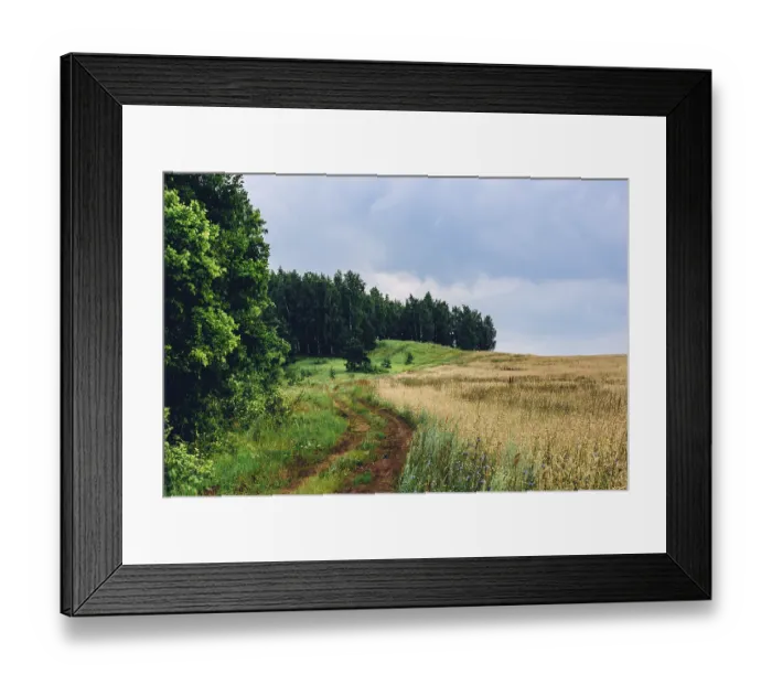 Framed Print : Dirt road between birch forest and wheat field
