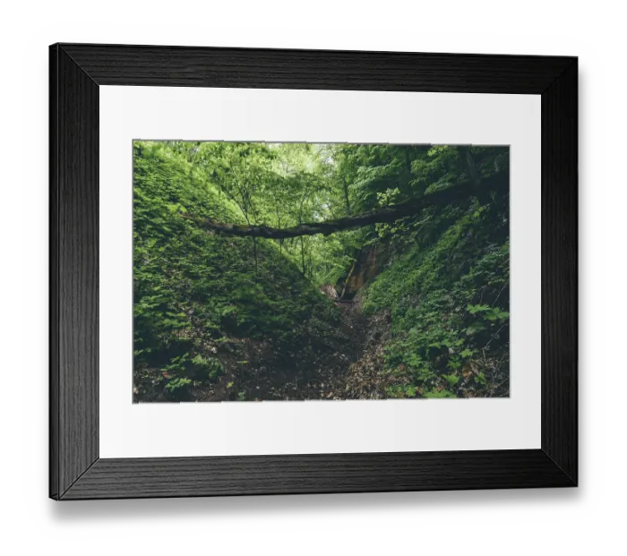 Framed Print : Gully with fallen trees and cave entrance in forest Framed Print : Gully with fallen trees and cave entrance in forest