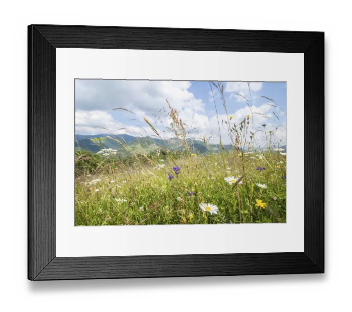 Framed Print : Amazing sunny day in mountains