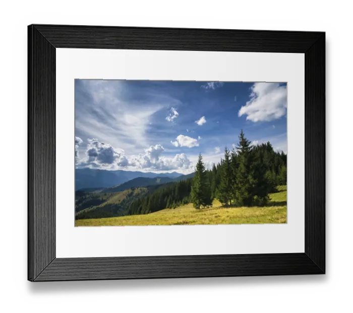 Framed Print : Amazing sunny landscape with pine tree highland forest at Carpathian mountains under blue sky