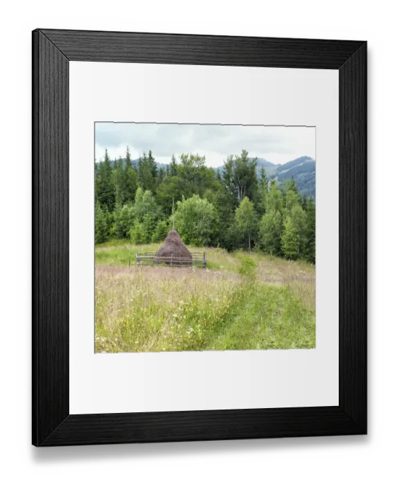 Framed Print : Foggy morning landscape with pine tree highland forest and hay stacks on meadow at Carpathian mountains