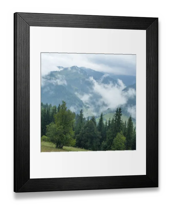 Framed Print : Foggy morning landscape with pine tree highland forest at Carpathian mountains Framed Print : Foggy morning landscape with pine tree highland forest at Carpathian mountains