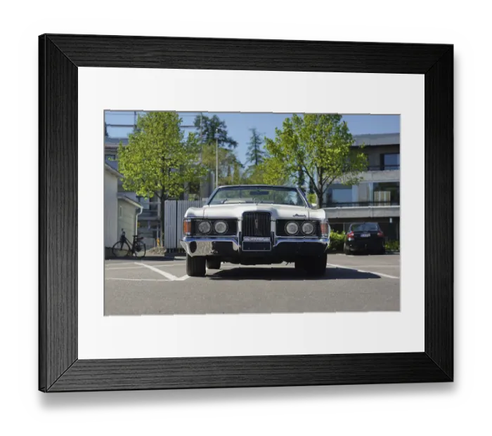 Framed Print : SONY DSC Framed Print : SONY DSC