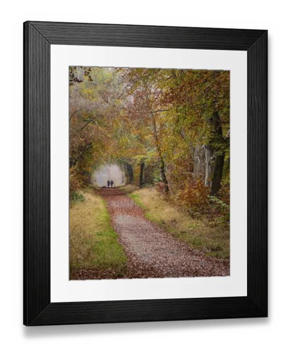 Framed Print : Savernake Forest in Autumn Framed Print : Savernake Forest in Autumn