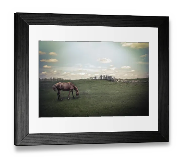 Framed Print : Sunny day in countryside. Summer landscape with horse at pasturage under blue cloudy sky