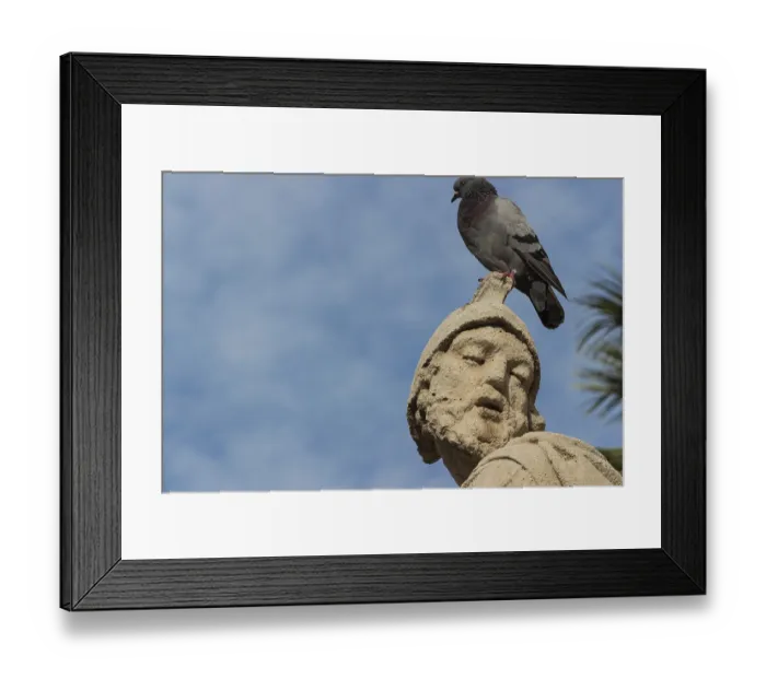Framed Print : Sicily, Italy: the baroque statue with pigeon Framed Print : Sicily, Italy: the baroque statue with pigeon