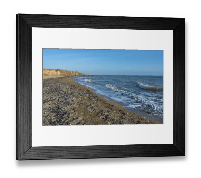Framed Print : Sea coast dotted with mussel shells on the seashore near Odessa