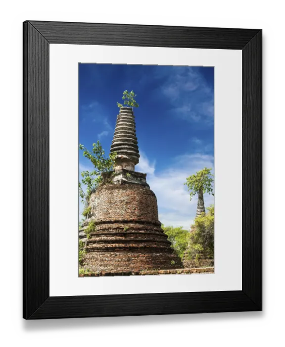 Framed Print : Asian religious architecture. Ancient ruins with growing trees under blue sky