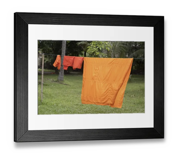 Framed Print : The orange robes of the Buddhist monks are dried on a rope in the Buddhist monastery Framed Print : The orange robes of the Buddhist monks are dried on a rope in the Buddhist monastery