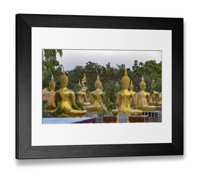 Framed Print : A group of golden Buddha statues at the Buddhist Cemetery