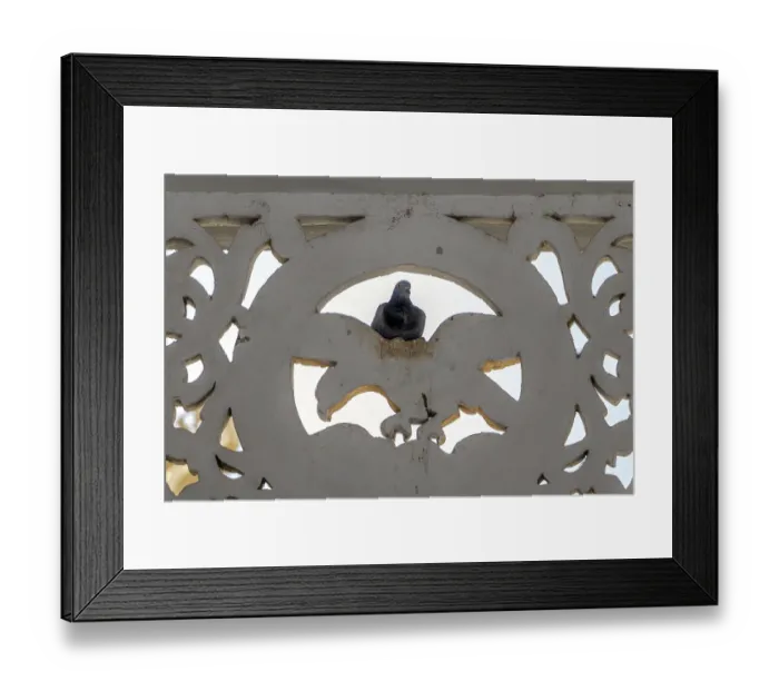 Framed Print : The pigeon sits on decoration on the walls of the Buddhist monastery The Shwezigon Pagoda or Shwezigon Paya