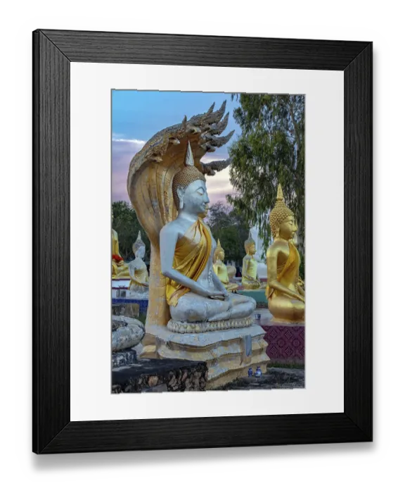 Framed Print : A Buddha with Naga statues at the Buddhist Cemetery Framed Print : A Buddha with Naga statues at the Buddhist Cemetery