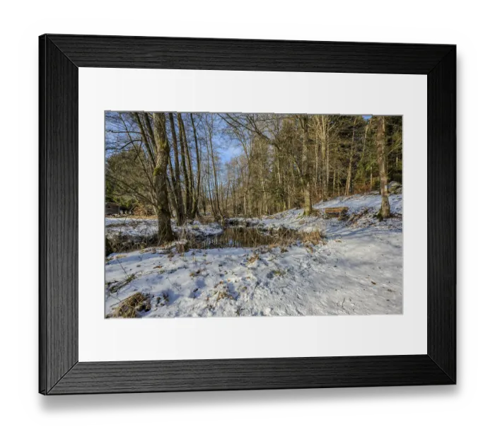 Framed Print : A forest with lots of trees and old snow is next to a small river